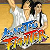 Kung Fu Fighter